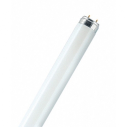Лампа L18W/640 OSRAM люмин