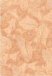 Плитка керам. для стен 275*400 ГЕРБАРИЙ 3С персиковый (89.1/1.65)