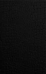 Плитка керам. для стен 250*400 CAYMAN Black черная